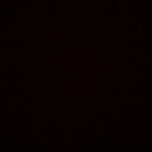 Meet your Posher, Priscilla